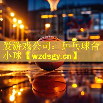 爱游戏公司：乒乓球台小球