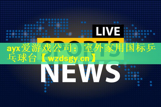 ayx爱游戏公司：室外家用国标乒乓球台