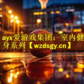 <strong>ayx爱游戏集团：室内健身系列</strong>