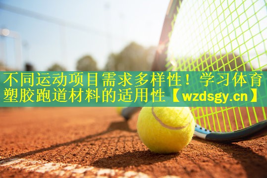 <strong>不同运动项目需求多样性！学习体育塑胶跑道材料的适用性</strong>