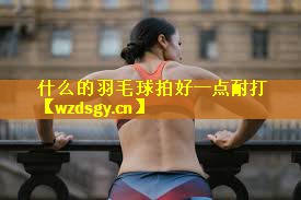 <strong>什么的羽毛球拍好一点耐打</strong>