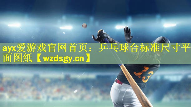 ayx爱游戏官网首页：乒乓球台标准尺寸平面图纸