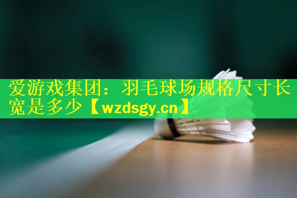 爱游戏集团：羽毛球场规格尺寸长宽是多少