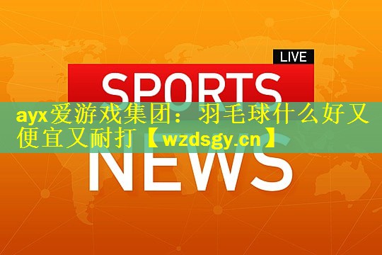 ayx爱游戏集团：羽毛球什么好又便宜又耐打